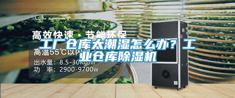 工廠倉(cāng)庫(kù)太潮濕怎么辦？工業(yè)倉(cāng)庫(kù)除濕機(jī)