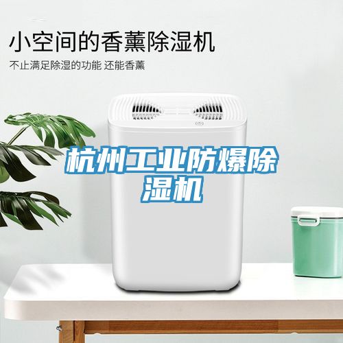 杭州工業防爆除濕機