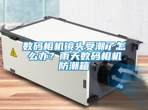 數碼相機鏡頭受潮了怎么辦？雨天數碼相機防潮箱