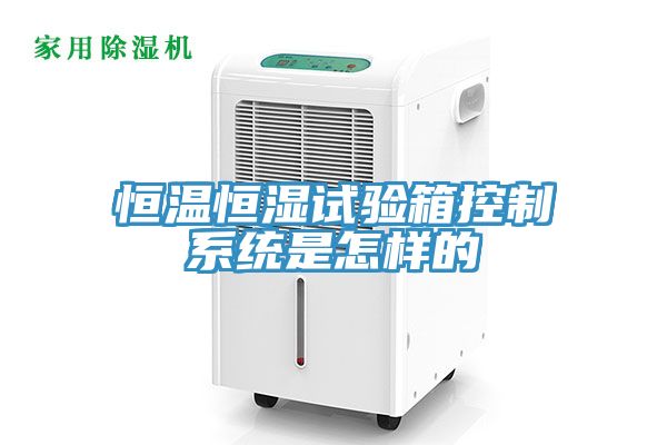 恒溫恒濕試驗(yàn)箱控制系統(tǒng)是怎樣的