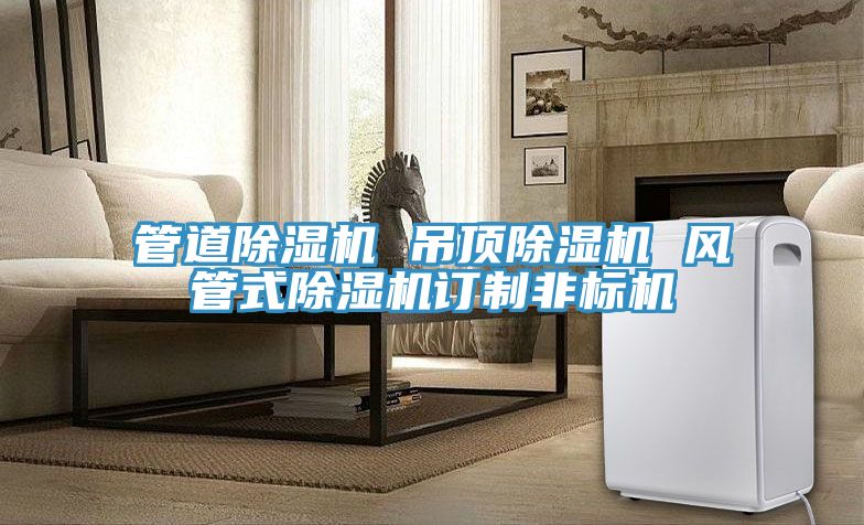 管道除濕機 吊頂除濕機 風(fēng)管式除濕機訂制非標(biāo)機