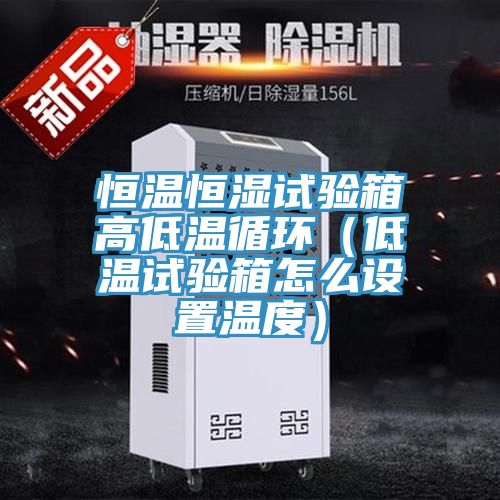 恒溫恒濕試驗(yàn)箱高低溫循環(huán)（低溫試驗(yàn)箱怎么設(shè)置溫度）