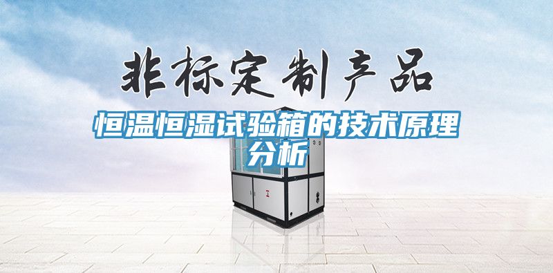 恒溫恒濕試驗(yàn)箱的技術(shù)原理分析