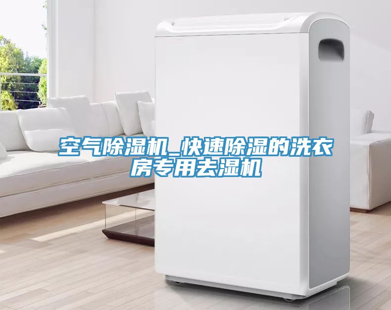 空氣除濕機(jī)_快速除濕的洗衣房專(zhuān)用去濕機(jī)