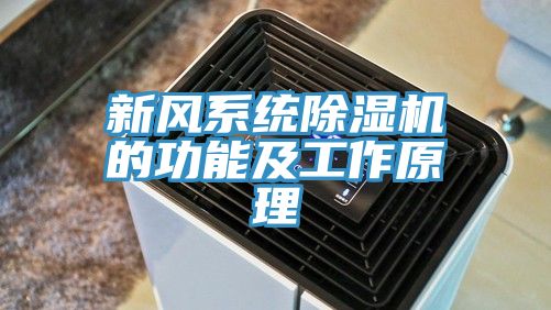 新風(fēng)系統(tǒng)除濕機(jī)的功能及工作原理