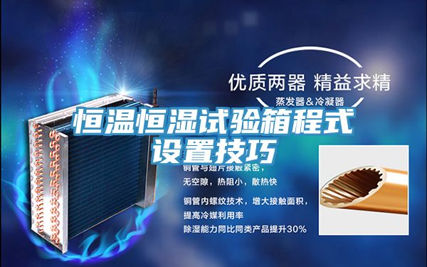 恒溫恒濕試驗(yàn)箱程式設(shè)置技巧