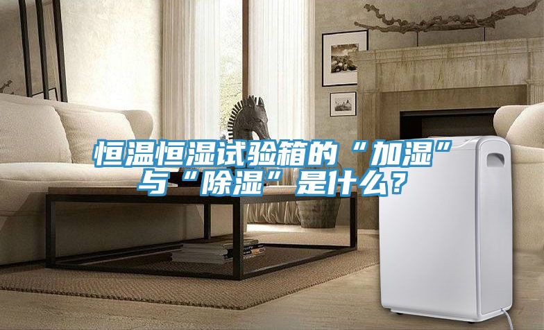 恒溫恒濕試驗箱的“加濕”與“除濕”是什么？