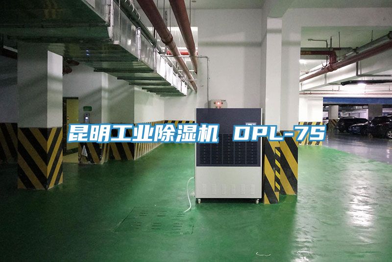 昆明工業除濕機 DPL-7S