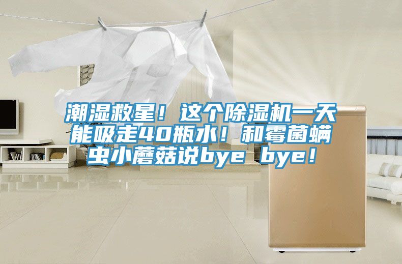 潮濕救星！這個除濕機一天能吸走40瓶水！和霉菌螨蟲小蘑菇說bye bye！