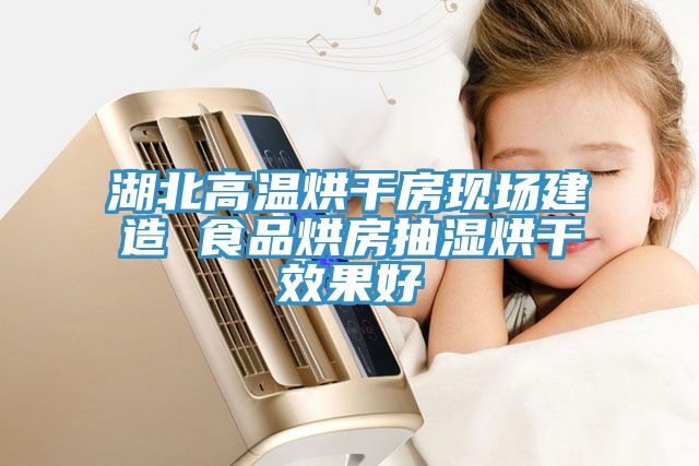 湖北高溫烘干房現場建造 食品烘房抽濕烘干效果好