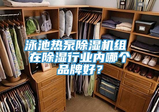 泳池熱泵除濕機組 在除濕行業內哪個品牌好？