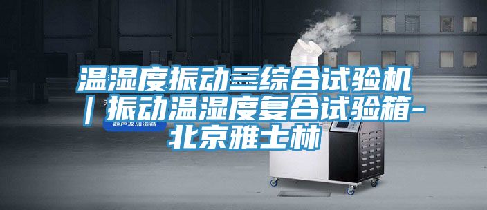 溫濕度振動三綜合試驗機(jī)｜振動溫濕度復(fù)合試驗箱-北京雅士林
