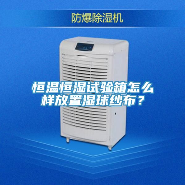 恒溫恒濕試驗箱怎么樣放置濕球紗布？