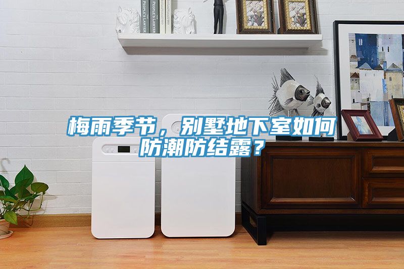 梅雨季節，別墅地下室如何防潮防結露？