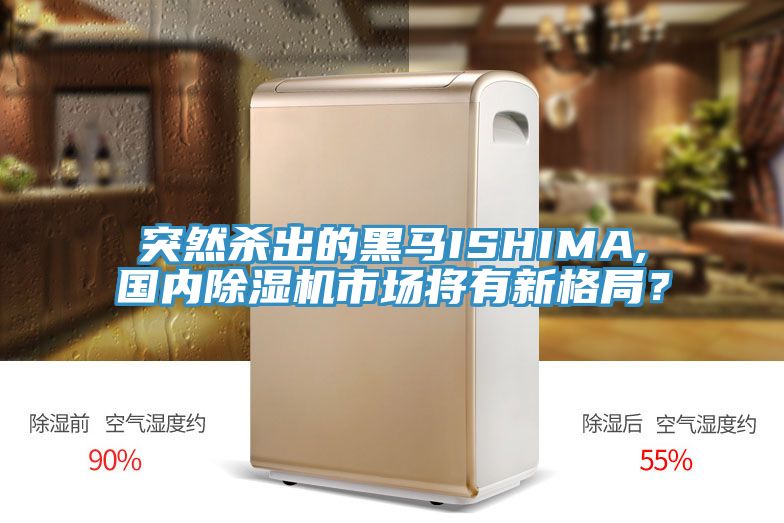 突然殺出的黑馬ISHIMA,國內(nèi)除濕機(jī)市場(chǎng)將有新格局？
