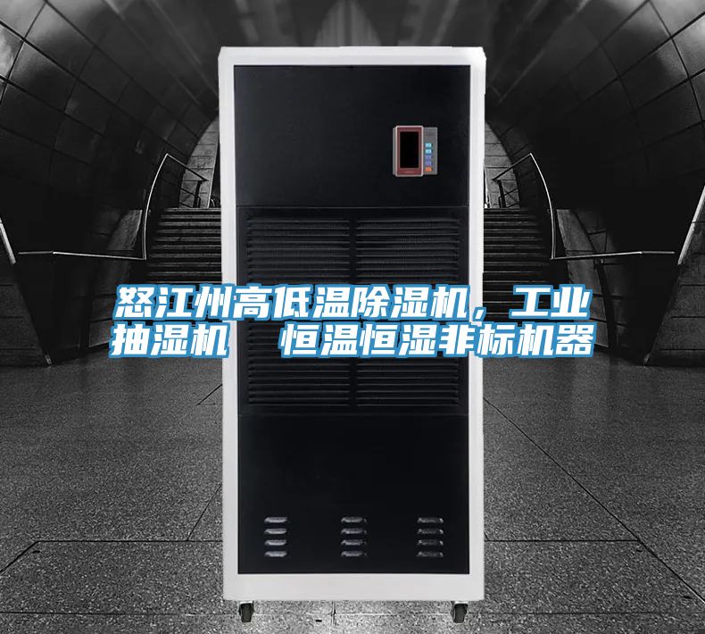 怒江州高低溫除濕機，工業抽濕機  恒溫恒濕非標機器
