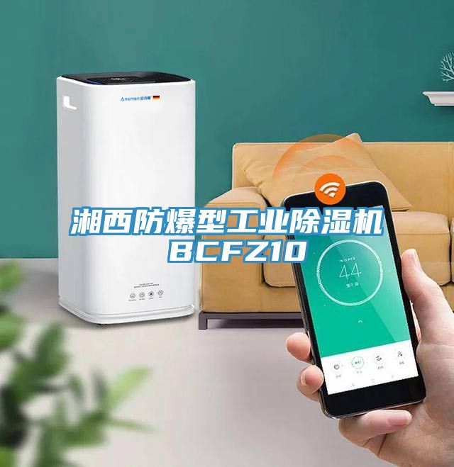 湘西防爆型工業除濕機 BCFZ10