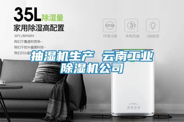 抽濕機生產 云南工業除濕機公司