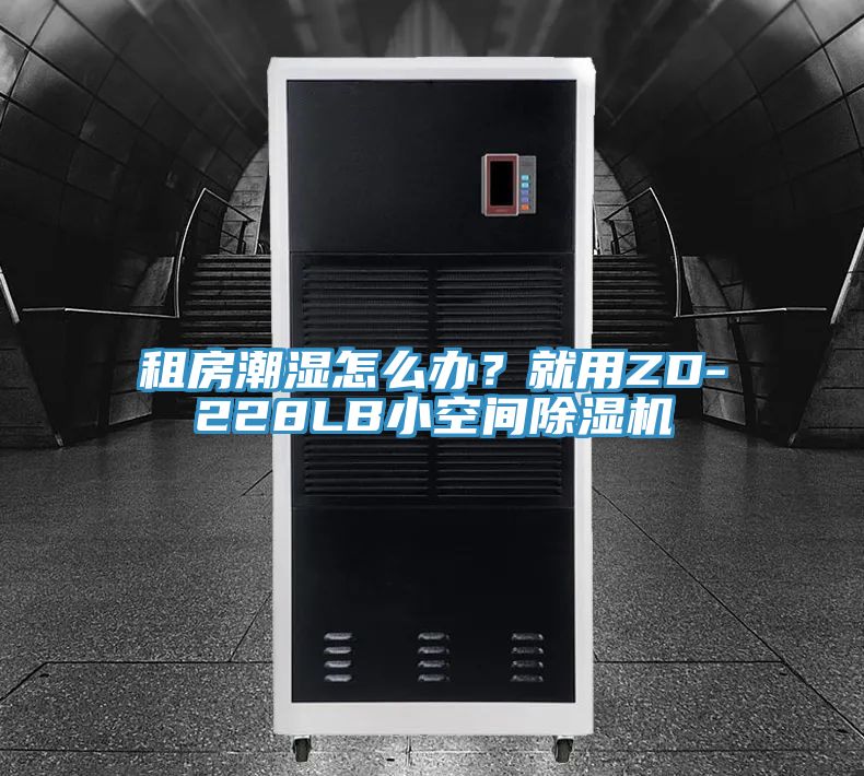 租房潮濕怎么辦？就用ZD-228LB小空間除濕機