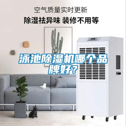 泳池除濕機哪個品牌好？