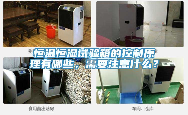 恒溫恒濕試驗(yàn)箱的控制原理有哪些，需要注意什么？