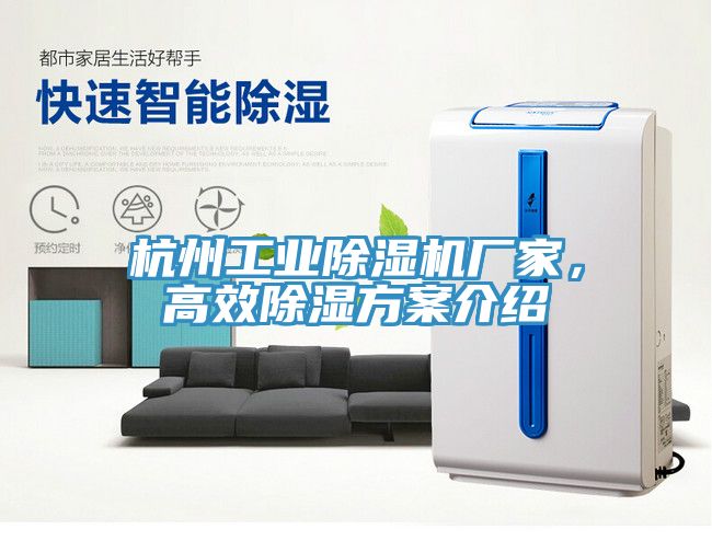 杭州工業除濕機廠家，高效除濕方案介紹
