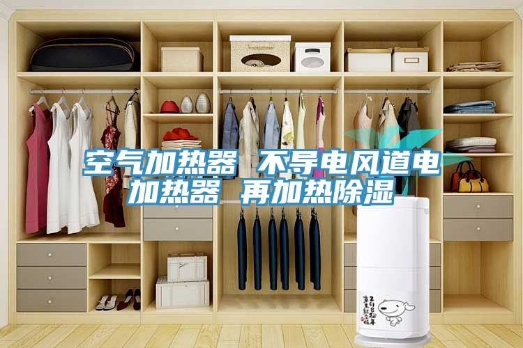 空氣加熱器 不導電風道電加熱器 再加熱除濕
