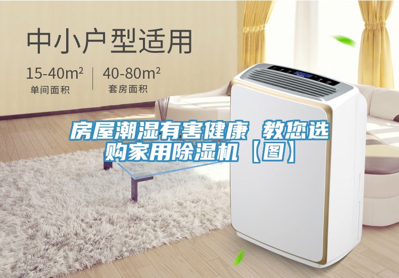 房屋潮濕有害健康 教您選購家用除濕機【圖】