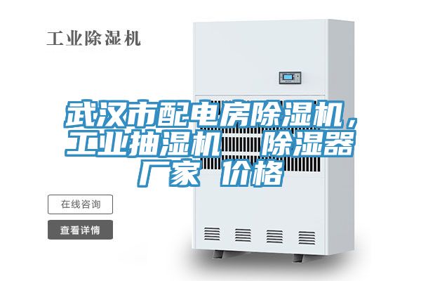武漢市配電房除濕機，工業抽濕機  除濕器廠家 價格