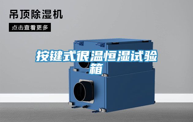 按鍵式很溫恒濕試驗箱