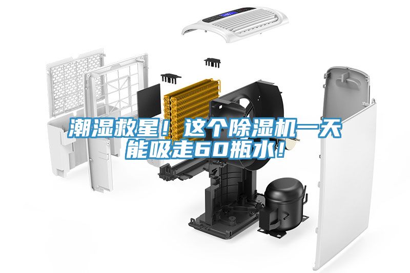 潮濕救星！這個除濕機一天能吸走60瓶水！