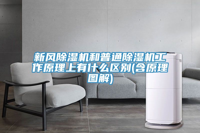 新風除濕機和普通除濕機工作原理上有什么區別(含原理圖解)