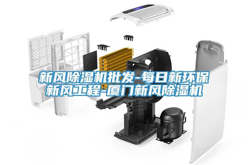 新風除濕機批發(fā)-每日新環(huán)保新風工程-廈門新風除濕機