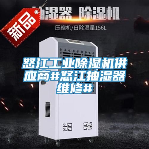 怒江工業除濕機供應商#怒江抽濕器維修#