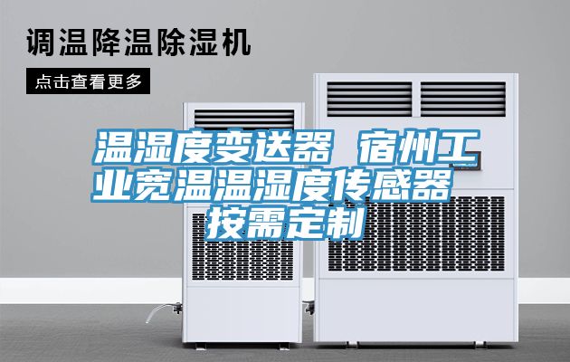 溫濕度變送器 宿州工業寬溫溫濕度傳感器 按需定制