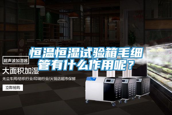恒溫恒濕試驗(yàn)箱毛細(xì)管有什么作用呢？