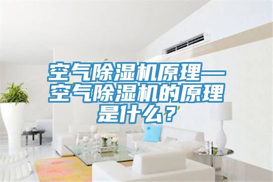 空氣除濕機(jī)原理—空氣除濕機(jī)的原理是什么?