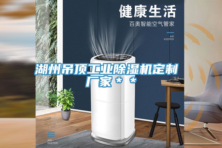湖州吊頂工業除濕機定制 廠家＊＊