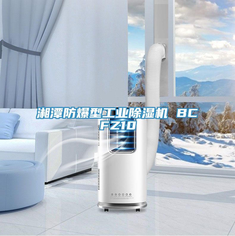 湘潭防爆型工業除濕機 BCFZ10