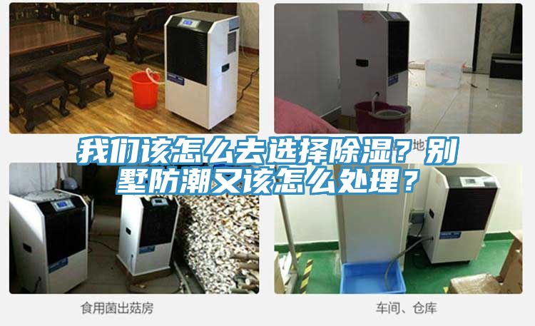 我們該怎么去選擇除濕？別墅防潮又該怎么處理？