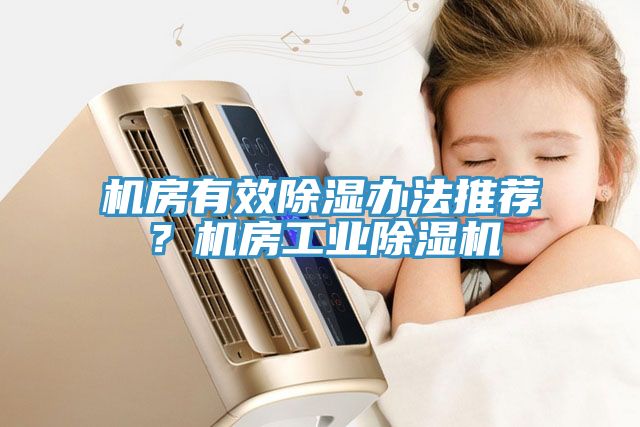 機房有效除濕辦法推薦？機房工業(yè)除濕機
