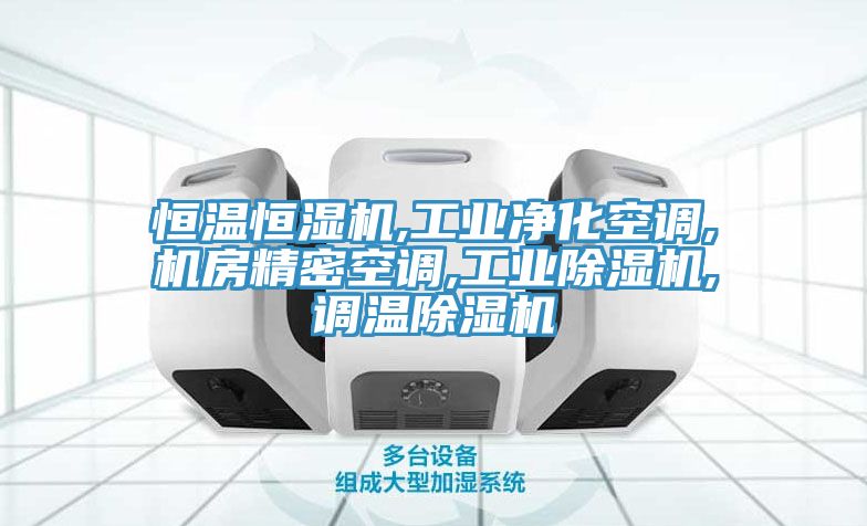 恒溫恒濕機,工業凈化空調,機房精密空調,工業除濕機,調溫除濕機