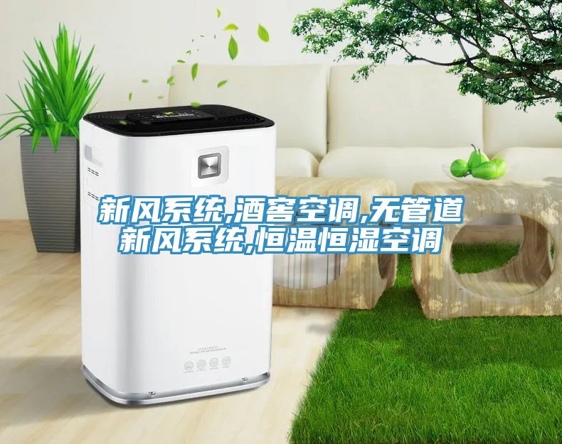 新風系統,酒窖空調,無管道新風系統,恒溫恒濕空調
