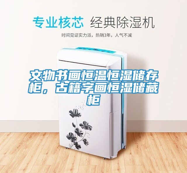 文物書畫恒溫恒濕儲(chǔ)存柜，古籍字畫恒濕儲(chǔ)藏柜