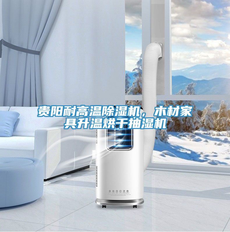 貴陽耐高溫除濕機(jī)，木材家具升溫烘干抽濕機(jī)