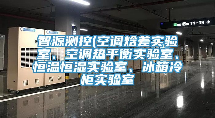 智源測控(空調焓差實驗室、空調熱平衡實驗室、恒溫恒濕實驗室、冰箱冷柜實驗室