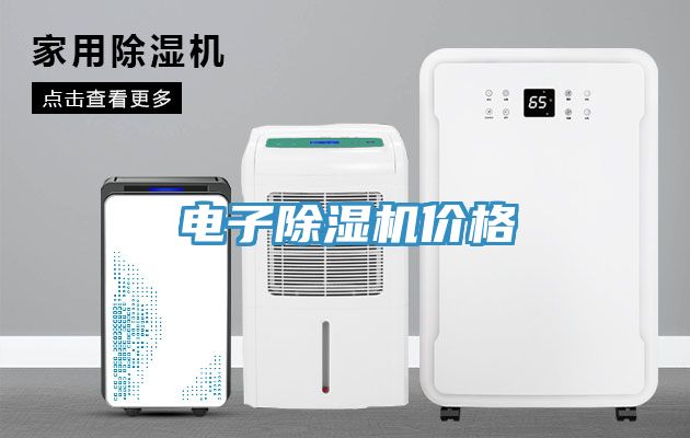 電子除濕機(jī)價格