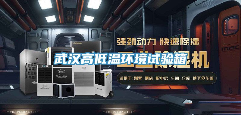 武漢高低溫環境試驗箱