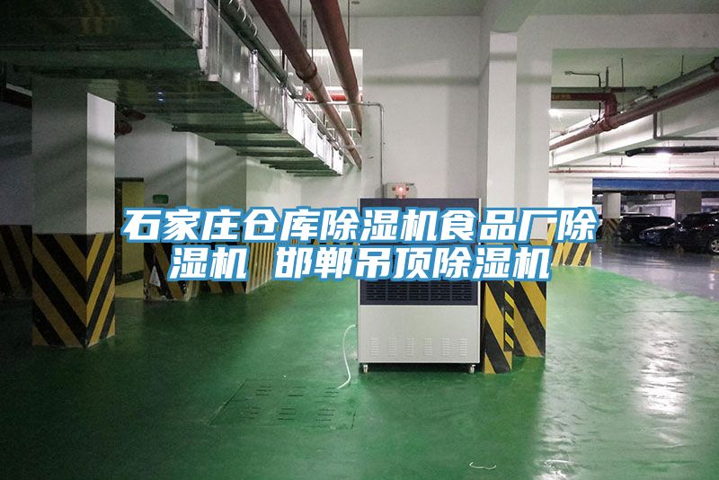 石家莊倉庫除濕機食品廠除濕機 邯鄲吊頂除濕機