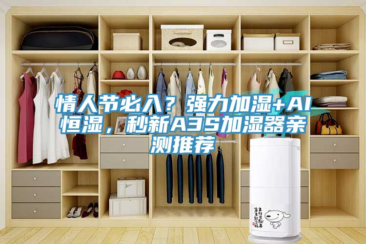 情人節必入？強力加濕+AI恒濕，秒新A3S加濕器親測推薦